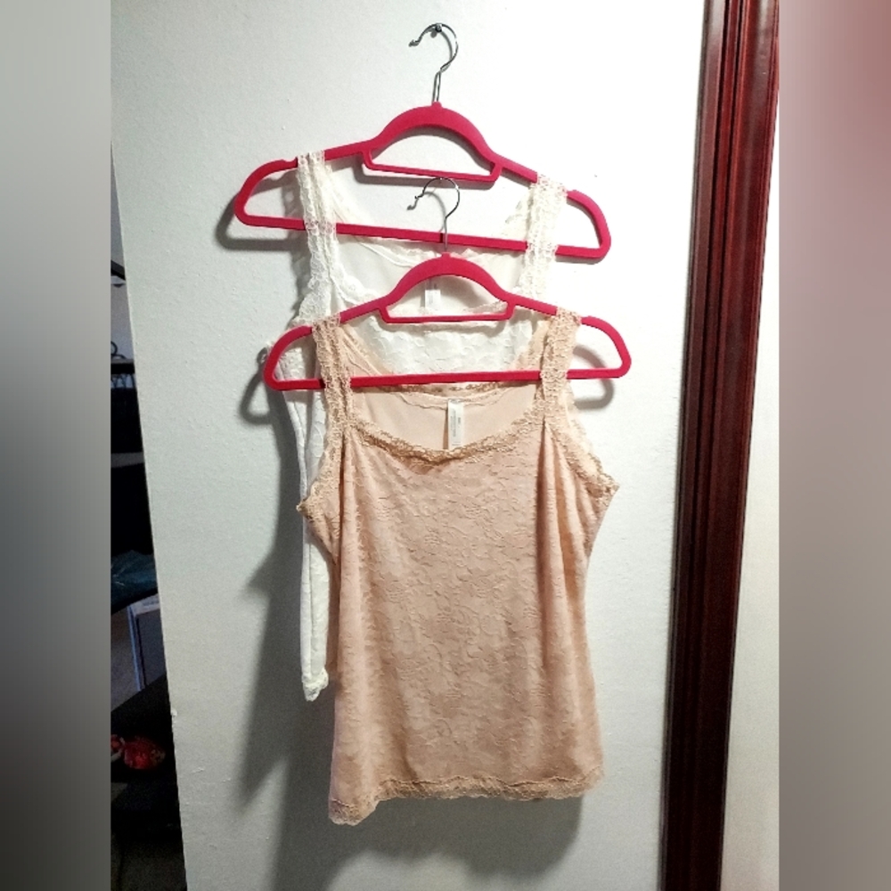Two Lace Camisols - L